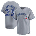 Custom #25 Gray TOR Baseball Shirt Top