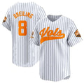 T.Volunteers #8 Dylan Dreiling Pinstripe 2024 Champions Vapor Limited Baseball Stitched American College Jerseys